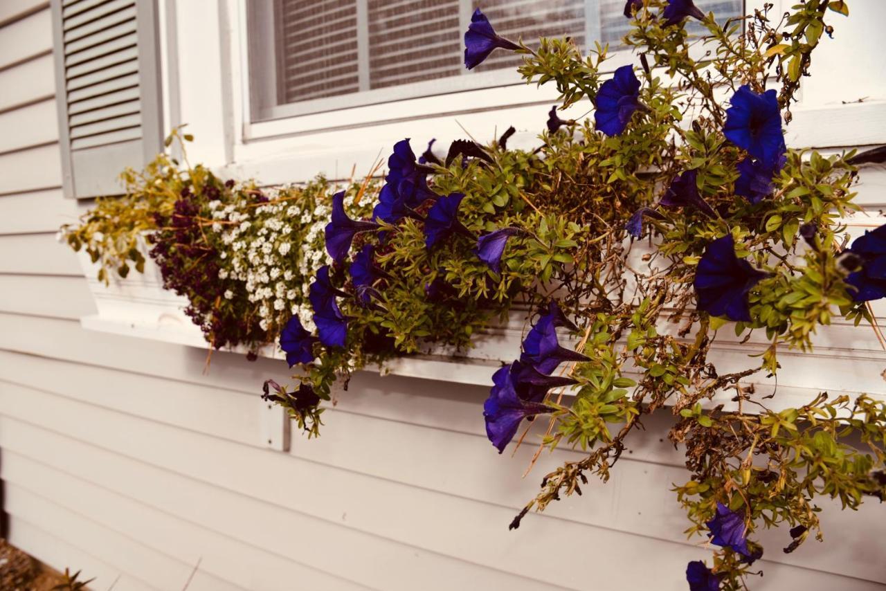 موتيل ميناء هارويتش Cape Cod Wishing Well المظهر الخارجي الصورة